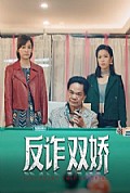 《反诈双娇》封面