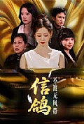 《信鸽不渡无风带》封面
