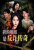 《我的姐姐是反诈传奇》封面