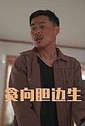《贪向胆边生》封面