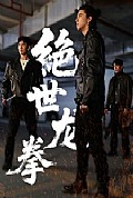 《绝世龙拳》封面