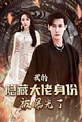 《我的隐藏大佬身份被曝光了》封面