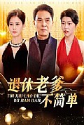 《退休老爹不简单》封面