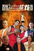 《无敌篮团之猛龙发威》封面