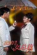 《新版：我的冰山女总裁》封面