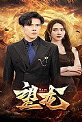《望龙短剧版》封面