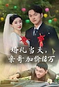 《婚礼当天，亲哥加价18万》封面