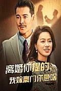 《离婚你提的，我嫁豪门你急啥》封面