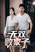 《无双败家子》封面