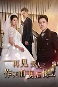 《再见爱人之作死前妻后悔了》封面