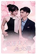 《试用夫人是大佬》封面
