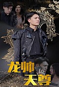 《龙帅天尊》封面