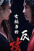 《女秘书的反攻》封面