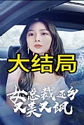 《女总裁还乡又美又飒》封面