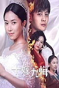《十嫁九悔》封面