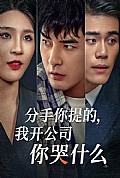 《分手你提的，我开公司你哭什么》封面