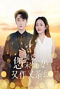 《陆总您未婚妻又作又茶》封面
