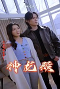 《神龙殿》封面