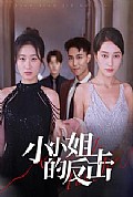 《小小姐的反击》封面