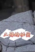 《二妈的秘密》封面