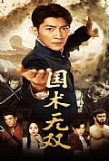 《国术无双》封面