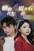 《婚姻在左谎言在右》封面