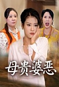 《母贵婆恶》封面