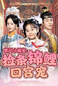 《寒门小福宝：捡条锦鲤回宫宠》封面