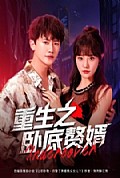 《重生之卧底赘婿》封面