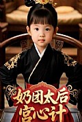 《奶团太后宫心计》封面