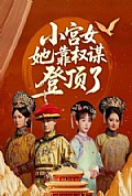 《小宫女她靠权谋登顶了》封面