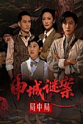 《申城谜案局中局》封面