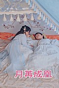 《月苒成凰》封面