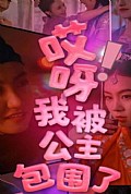 《哎呀，我被公主包围了》封面
