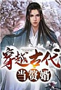 《穿越古代当赘婿》封面