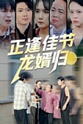 《正逢佳节龙婿归》封面
