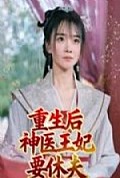 《重生后神医王妃要休夫》封面