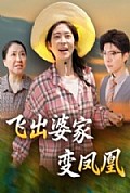 《飞出婆家变凤凰》封面