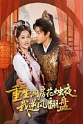 《重生洞房花烛夜，我逆风翻盘》封面