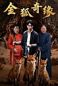 《金狐奇缘》封面