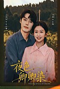 《夜色卿卿染》封面