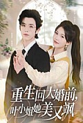 《重生回大婚前叶小姐她美又飒》封面