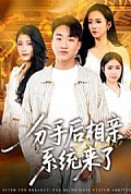 《分手后相亲系统来了》封面