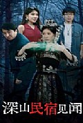 《深山民宿见闻》封面