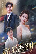 《爱在星光坠落时》封面