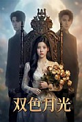 《双色月光》封面