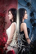 《金银双姝》封面