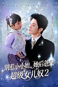 《别惹小小姐她后，爸是超级女儿奴2》封面