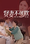 《贤妻不可欺》封面