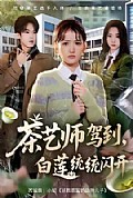 《茶艺师驾到白莲统统闪开》封面
